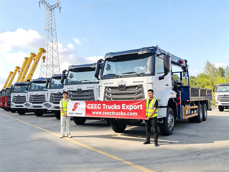 5 gru montate su camion HOWO consegnate in Angola